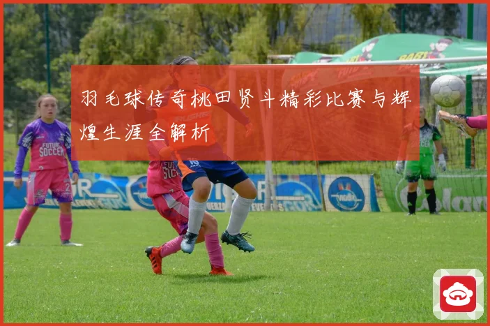 羽毛球传奇桃田贤斗精彩比赛与辉煌生涯全解析