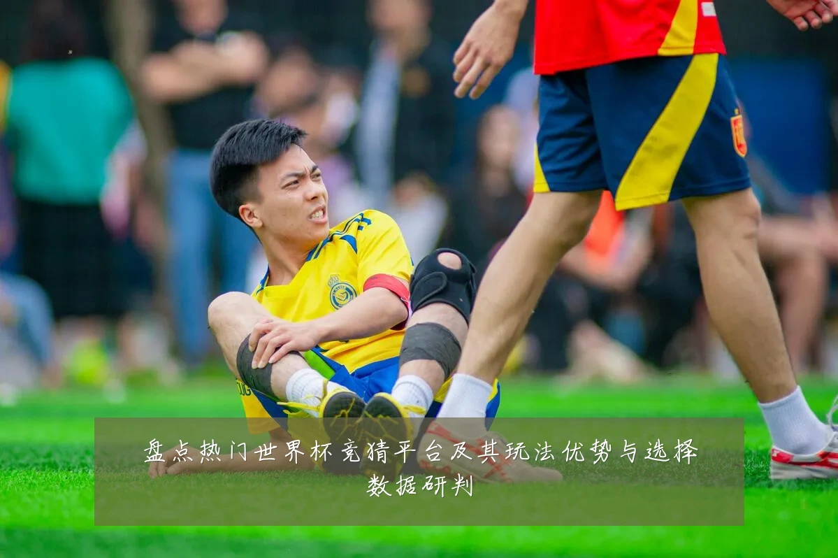 盘点热门世界杯竞猜平台及其玩法优势与选择数据研判