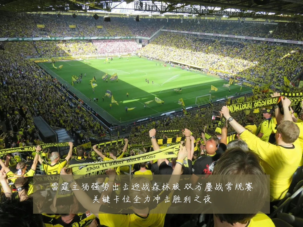 雷霆主场强势出击迎战森林狼 双方鏖战常规赛关键卡位全力冲击胜利之夜