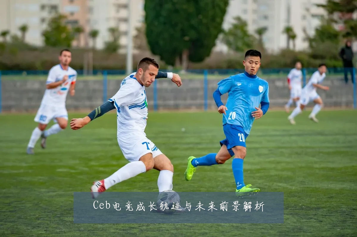 Ceb电竞成长轨迹与未来前景解析
